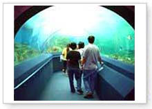 อันเดอร์ วอเตอร์ เวิลด์ พัทยา (Underwater World Pattaya) อำเภอบางละมุง จ.ชลบุรี
