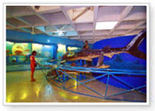 ลงประกาศฟรี ลงประกาศ  เพิ่มเว็บ  โฆษณาฟรี  ประกาศซื้อขายฟรีี  โปรโมทเว็บ ลงโฆษณาฟรี โปรโมทเว็บฟรี ประกาศซื้อขาย เพิ่มเว็บฟรี