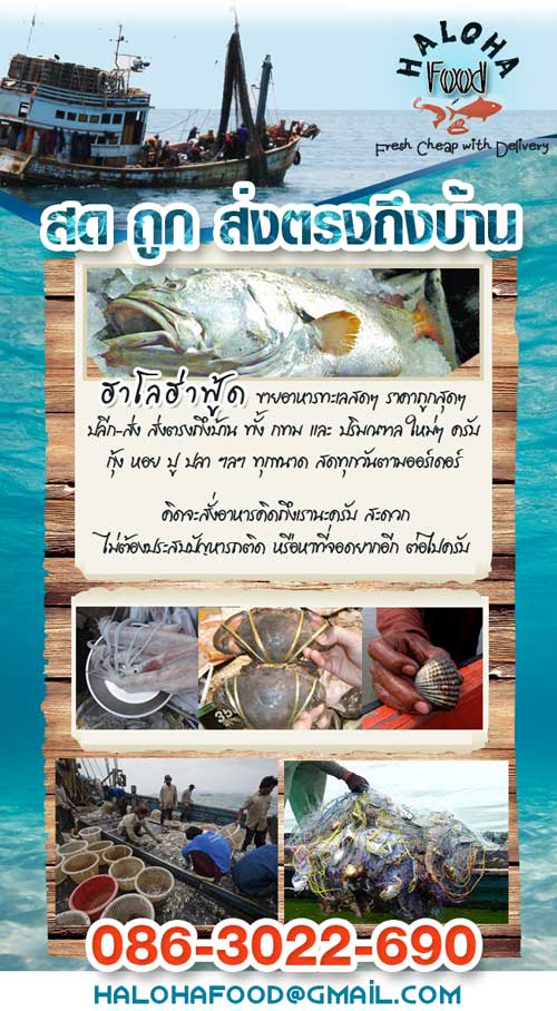 ลงประกาศฟรี ลงประกาศ  เพิ่มเว็บ  โฆษณาฟรี  ประกาศซื้อขายฟรีี  โปรโมทเว็บ ลงโฆษณาฟรี โปรโมทเว็บฟรี ประกาศซื้อขาย เพิ่มเว็บฟรี