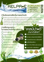 เคลป์ปาอี
