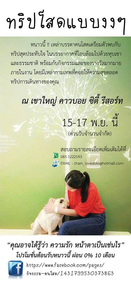 ลงประกาศฟรี ลงประกาศ  เพิ่มเว็บ  โฆษณาฟรี  ประกาศซื้อขายฟรีี  โปรโมทเว็บ ลงโฆษณาฟรี โปรโมทเว็บฟรี ประกาศซื้อขาย เพิ่มเว็บฟรี