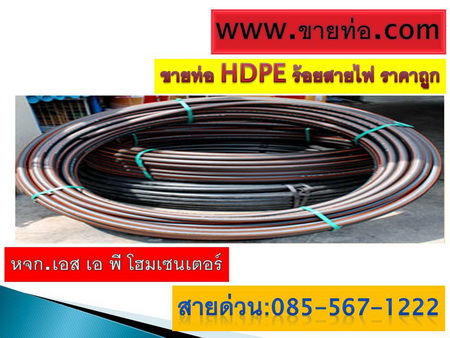 ลงประกาศฟรี ลงประกาศ  เพิ่มเว็บ  โฆษณาฟรี  ประกาศซื้อขายฟรีี  โปรโมทเว็บ ลงโฆษณาฟรี โปรโมทเว็บฟรี ประกาศซื้อขาย เพิ่มเว็บฟรี