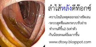 ลงประกาศฟรี ลงประกาศ  เพิ่มเว็บ  โฆษณาฟรี  ประกาศซื้อขายฟรีี  โปรโมทเว็บ ลงโฆษณาฟรี โปรโมทเว็บฟรี ประกาศซื้อขาย เพิ่มเว็บฟรี