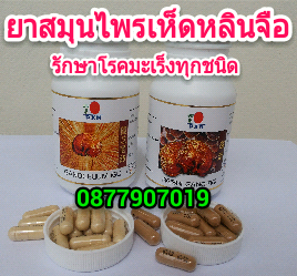 ลงประกาศฟรี ลงประกาศ  เพิ่มเว็บ  โฆษณาฟรี  ประกาศซื้อขายฟรีี  โปรโมทเว็บ ลงโฆษณาฟรี โปรโมทเว็บฟรี ประกาศซื้อขาย เพิ่มเว็บฟรี