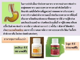 ลงประกาศฟรี ลงประกาศ  เพิ่มเว็บ  โฆษณาฟรี  ประกาศซื้อขายฟรีี  โปรโมทเว็บ ลงโฆษณาฟรี โปรโมทเว็บฟรี ประกาศซื้อขาย เพิ่มเว็บฟรี