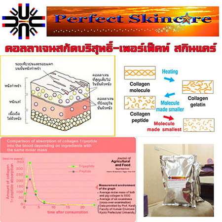 ลงประกาศฟรี ลงประกาศ  เพิ่มเว็บ  โฆษณาฟรี  ประกาศซื้อขายฟรีี  โปรโมทเว็บ ลงโฆษณาฟรี โปรโมทเว็บฟรี ประกาศซื้อขาย เพิ่มเว็บฟรี