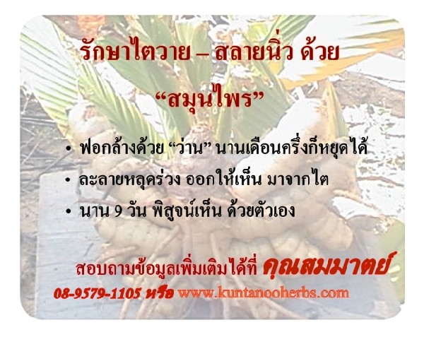 ลงประกาศฟรี ลงประกาศ  เพิ่มเว็บ  โฆษณาฟรี  ประกาศซื้อขายฟรีี  โปรโมทเว็บ ลงโฆษณาฟรี โปรโมทเว็บฟรี ประกาศซื้อขาย เพิ่มเว็บฟรี