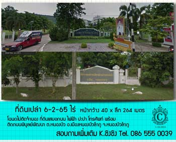 ลงประกาศฟรี ลงประกาศ  เพิ่มเว็บ  โฆษณาฟรี  ประกาศซื้อขายฟรีี  โปรโมทเว็บ ลงโฆษณาฟรี โปรโมทเว็บฟรี ประกาศซื้อขาย เพิ่มเว็บฟรี