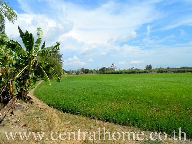 ลงประกาศฟรี ลงประกาศ  เพิ่มเว็บ  โฆษณาฟรี  ประกาศซื้อขายฟรีี  โปรโมทเว็บ ลงโฆษณาฟรี โปรโมทเว็บฟรี ประกาศซื้อขาย เพิ่มเว็บฟรี