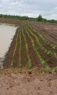 ลงประกาศฟรี ลงประกาศ  เพิ่มเว็บ  โฆษณาฟรี  ประกาศซื้อขายฟรีี  โปรโมทเว็บ ลงโฆษณาฟรี โปรโมทเว็บฟรี ประกาศซื้อขาย เพิ่มเว็บฟรี