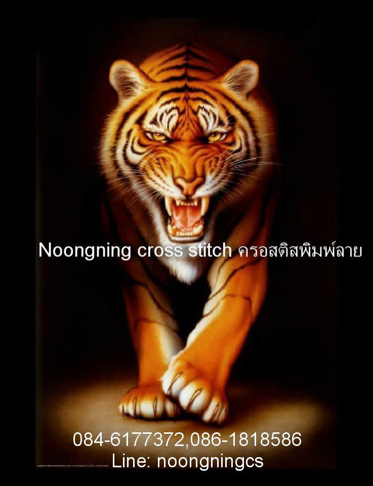 ลายครอสติส