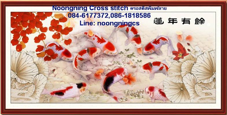ลายครอสติส