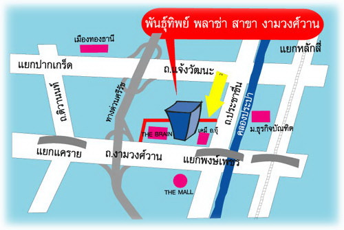 กล้องชุด