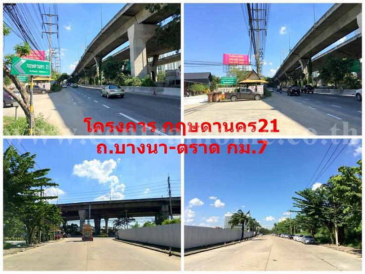 ลงประกาศฟรี ลงประกาศ  เพิ่มเว็บ  โฆษณาฟรี  ประกาศซื้อขายฟรีี  โปรโมทเว็บ ลงโฆษณาฟรี โปรโมทเว็บฟรี ประกาศซื้อขาย เพิ่มเว็บฟรี