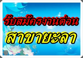 ลงประกาศฟรี ลงประกาศ  เพิ่มเว็บ  โฆษณาฟรี  ประกาศซื้อขายฟรีี  โปรโมทเว็บ ลงโฆษณาฟรี โปรโมทเว็บฟรี ประกาศซื้อขาย เพิ่มเว็บฟรี