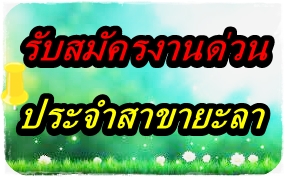 ลงประกาศฟรี ลงประกาศ  เพิ่มเว็บ  โฆษณาฟรี  ประกาศซื้อขายฟรีี  โปรโมทเว็บ ลงโฆษณาฟรี โปรโมทเว็บฟรี ประกาศซื้อขาย เพิ่มเว็บฟรี