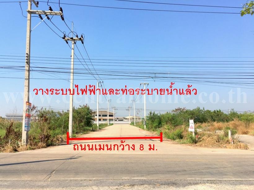 ลงประกาศฟรี ลงประกาศ  เพิ่มเว็บ  โฆษณาฟรี  ประกาศซื้อขายฟรีี  โปรโมทเว็บ ลงโฆษณาฟรี โปรโมทเว็บฟรี ประกาศซื้อขาย เพิ่มเว็บฟรี