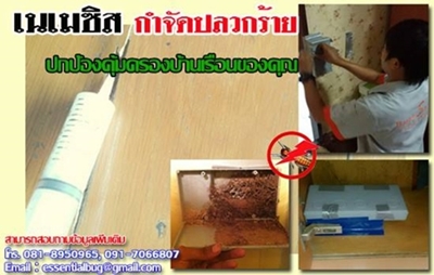 ลงประกาศฟรี ลงประกาศ  เพิ่มเว็บ  โฆษณาฟรี  ประกาศซื้อขายฟรีี  โปรโมทเว็บ ลงโฆษณาฟรี โปรโมทเว็บฟรี ประกาศซื้อขาย เพิ่มเว็บฟรี