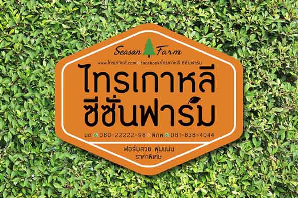 ลงประกาศฟรี ลงประกาศ  เพิ่มเว็บ  โฆษณาฟรี  ประกาศซื้อขายฟรีี  โปรโมทเว็บ ลงโฆษณาฟรี โปรโมทเว็บฟรี ประกาศซื้อขาย เพิ่มเว็บฟรี