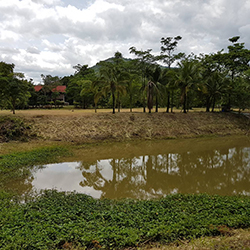 ลงประกาศฟรี ลงประกาศ  เพิ่มเว็บ  โฆษณาฟรี  ประกาศซื้อขายฟรีี  โปรโมทเว็บ ลงโฆษณาฟรี โปรโมทเว็บฟรี ประกาศซื้อขาย เพิ่มเว็บฟรี