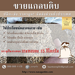 ลงประกาศฟรี ลงประกาศ  เพิ่มเว็บ  โฆษณาฟรี  ประกาศซื้อขายฟรีี  โปรโมทเว็บ ลงโฆษณาฟรี โปรโมทเว็บฟรี ประกาศซื้อขาย เพิ่มเว็บฟรี