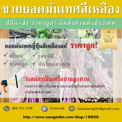 ลงประกาศฟรี ลงประกาศ  เพิ่มเว็บ  โฆษณาฟรี  ประกาศซื้อขายฟรีี  โปรโมทเว็บ ลงโฆษณาฟรี โปรโมทเว็บฟรี ประกาศซื้อขาย เพิ่มเว็บฟรี