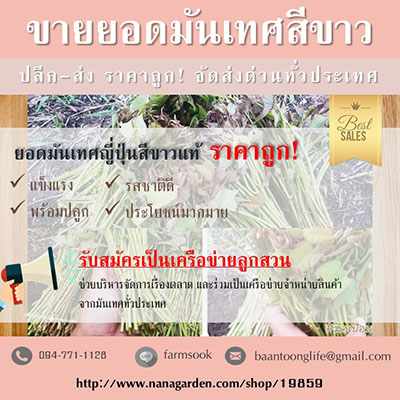 ลงประกาศฟรี ลงประกาศ  เพิ่มเว็บ  โฆษณาฟรี  ประกาศซื้อขายฟรีี  โปรโมทเว็บ ลงโฆษณาฟรี โปรโมทเว็บฟรี ประกาศซื้อขาย เพิ่มเว็บฟรี