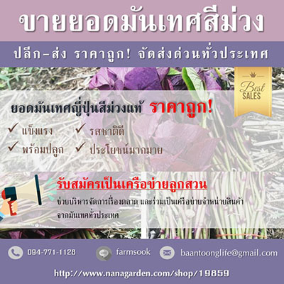 ลงประกาศฟรี ลงประกาศ  เพิ่มเว็บ  โฆษณาฟรี  ประกาศซื้อขายฟรีี  โปรโมทเว็บ ลงโฆษณาฟรี โปรโมทเว็บฟรี ประกาศซื้อขาย เพิ่มเว็บฟรี