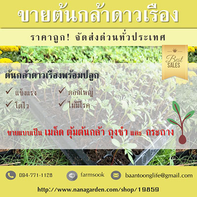 ลงประกาศฟรี ลงประกาศ  เพิ่มเว็บ  โฆษณาฟรี  ประกาศซื้อขายฟรีี  โปรโมทเว็บ ลงโฆษณาฟรี โปรโมทเว็บฟรี ประกาศซื้อขาย เพิ่มเว็บฟรี