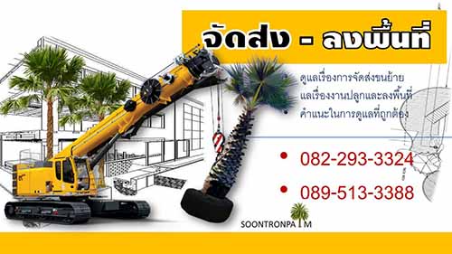 ลงประกาศฟรี ลงประกาศ  เพิ่มเว็บ  โฆษณาฟรี  ประกาศซื้อขายฟรีี  โปรโมทเว็บ ลงโฆษณาฟรี โปรโมทเว็บฟรี ประกาศซื้อขาย เพิ่มเว็บฟรี