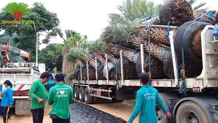 ลงประกาศฟรี ลงประกาศ  เพิ่มเว็บ  โฆษณาฟรี  ประกาศซื้อขายฟรีี  โปรโมทเว็บ ลงโฆษณาฟรี โปรโมทเว็บฟรี ประกาศซื้อขาย เพิ่มเว็บฟรี