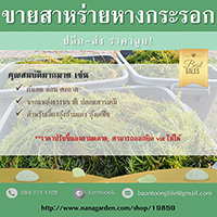 ลงประกาศฟรี ลงประกาศ  เพิ่มเว็บ  โฆษณาฟรี  ประกาศซื้อขายฟรีี  โปรโมทเว็บ ลงโฆษณาฟรี โปรโมทเว็บฟรี ประกาศซื้อขาย เพิ่มเว็บฟรี