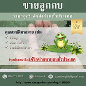 ลงประกาศฟรี ลงประกาศ  เพิ่มเว็บ  โฆษณาฟรี  ประกาศซื้อขายฟรีี  โปรโมทเว็บ ลงโฆษณาฟรี โปรโมทเว็บฟรี ประกาศซื้อขาย เพิ่มเว็บฟรี