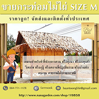 ลงประกาศฟรี ลงประกาศ  เพิ่มเว็บ  โฆษณาฟรี  ประกาศซื้อขายฟรีี  โปรโมทเว็บ ลงโฆษณาฟรี โปรโมทเว็บฟรี ประกาศซื้อขาย เพิ่มเว็บฟรี