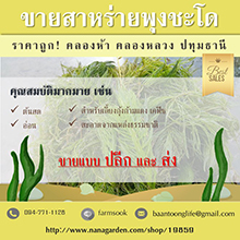 ลงประกาศฟรี ลงประกาศ  เพิ่มเว็บ  โฆษณาฟรี  ประกาศซื้อขายฟรีี  โปรโมทเว็บ ลงโฆษณาฟรี โปรโมทเว็บฟรี ประกาศซื้อขาย เพิ่มเว็บฟรี