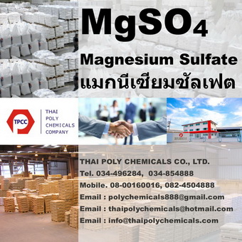 ลงประกาศฟรี ลงประกาศ  เพิ่มเว็บ  โฆษณาฟรี  ประกาศซื้อขายฟรีี  โปรโมทเว็บ ลงโฆษณาฟรี โปรโมทเว็บฟรี ประกาศซื้อขาย เพิ่มเว็บฟรี