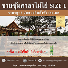 ลงประกาศฟรี ลงประกาศ  เพิ่มเว็บ  โฆษณาฟรี  ประกาศซื้อขายฟรีี  โปรโมทเว็บ ลงโฆษณาฟรี โปรโมทเว็บฟรี ประกาศซื้อขาย เพิ่มเว็บฟรี