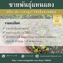 ลงประกาศฟรี ลงประกาศ  เพิ่มเว็บ  โฆษณาฟรี  ประกาศซื้อขายฟรีี  โปรโมทเว็บ ลงโฆษณาฟรี โปรโมทเว็บฟรี ประกาศซื้อขาย เพิ่มเว็บฟรี