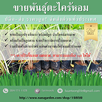 ลงประกาศฟรี ลงประกาศ  เพิ่มเว็บ  โฆษณาฟรี  ประกาศซื้อขายฟรีี  โปรโมทเว็บ ลงโฆษณาฟรี โปรโมทเว็บฟรี ประกาศซื้อขาย เพิ่มเว็บฟรี