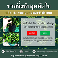 ลงประกาศฟรี ลงประกาศ  เพิ่มเว็บ  โฆษณาฟรี  ประกาศซื้อขายฟรีี  โปรโมทเว็บ ลงโฆษณาฟรี โปรโมทเว็บฟรี ประกาศซื้อขาย เพิ่มเว็บฟรี