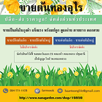 ลงประกาศฟรี ลงประกาศ  เพิ่มเว็บ  โฆษณาฟรี  ประกาศซื้อขายฟรีี  โปรโมทเว็บ ลงโฆษณาฟรี โปรโมทเว็บฟรี ประกาศซื้อขาย เพิ่มเว็บฟรี