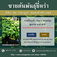 ลงประกาศฟรี ลงประกาศ  เพิ่มเว็บ  โฆษณาฟรี  ประกาศซื้อขายฟรีี  โปรโมทเว็บ ลงโฆษณาฟรี โปรโมทเว็บฟรี ประกาศซื้อขาย เพิ่มเว็บฟรี