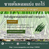 ลงประกาศฟรี ลงประกาศ  เพิ่มเว็บ  โฆษณาฟรี  ประกาศซื้อขายฟรีี  โปรโมทเว็บ ลงโฆษณาฟรี โปรโมทเว็บฟรี ประกาศซื้อขาย เพิ่มเว็บฟรี