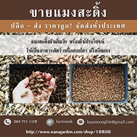 ลงประกาศฟรี ลงประกาศ  เพิ่มเว็บ  โฆษณาฟรี  ประกาศซื้อขายฟรีี  โปรโมทเว็บ ลงโฆษณาฟรี โปรโมทเว็บฟรี ประกาศซื้อขาย เพิ่มเว็บฟรี