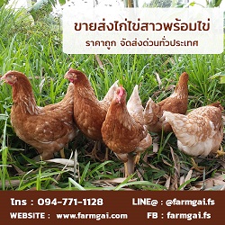 ลงประกาศฟรี ลงประกาศ  เพิ่มเว็บ  โฆษณาฟรี  ประกาศซื้อขายฟรีี  โปรโมทเว็บ ลงโฆษณาฟรี โปรโมทเว็บฟรี ประกาศซื้อขาย เพิ่มเว็บฟรี