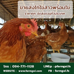 ลงประกาศฟรี ลงประกาศ  เพิ่มเว็บ  โฆษณาฟรี  ประกาศซื้อขายฟรีี  โปรโมทเว็บ ลงโฆษณาฟรี โปรโมทเว็บฟรี ประกาศซื้อขาย เพิ่มเว็บฟรี