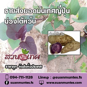 ลงประกาศฟรี ลงประกาศ  เพิ่มเว็บ  โฆษณาฟรี  ประกาศซื้อขายฟรีี  โปรโมทเว็บ ลงโฆษณาฟรี โปรโมทเว็บฟรี ประกาศซื้อขาย เพิ่มเว็บฟรี