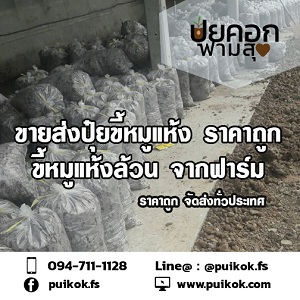 ลงประกาศฟรี ลงประกาศ  เพิ่มเว็บ  โฆษณาฟรี  ประกาศซื้อขายฟรีี  โปรโมทเว็บ ลงโฆษณาฟรี โปรโมทเว็บฟรี ประกาศซื้อขาย เพิ่มเว็บฟรี