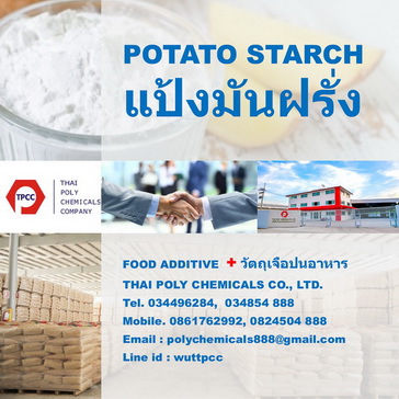 Potato Starch Holland
