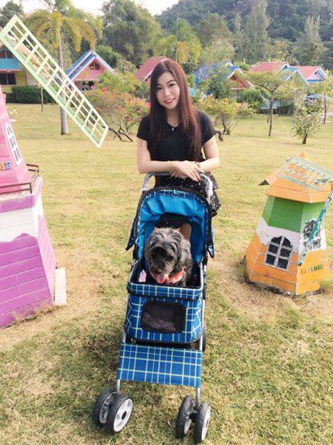 ลุยป่า